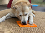Enrichment Lick Mat for Dogs