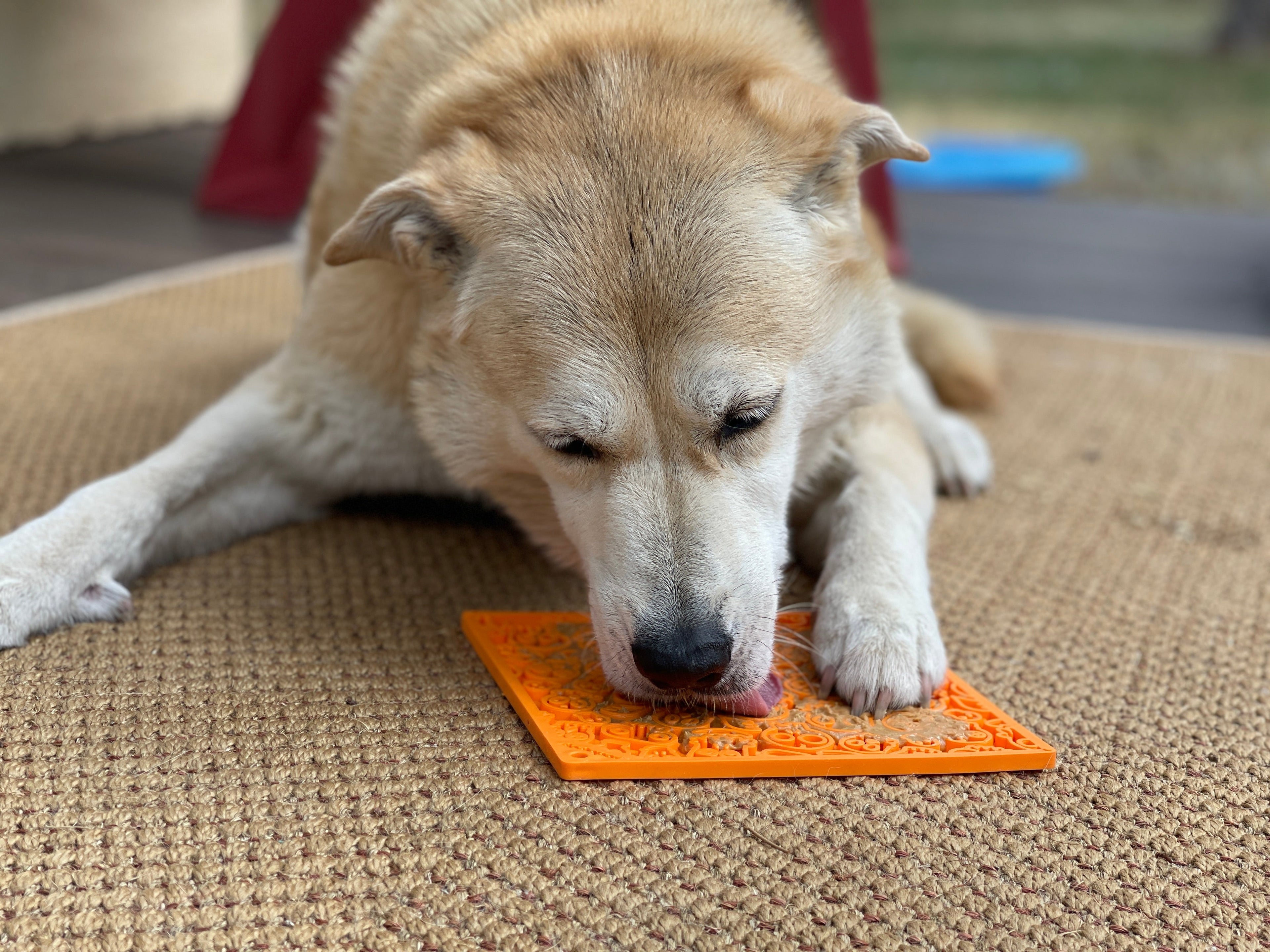 Enrichment Lick Mat for Dogs