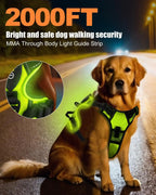 LED Dog Harness for Night Walking - Rechargeable No-Pull Vest for Safety and Comfort
