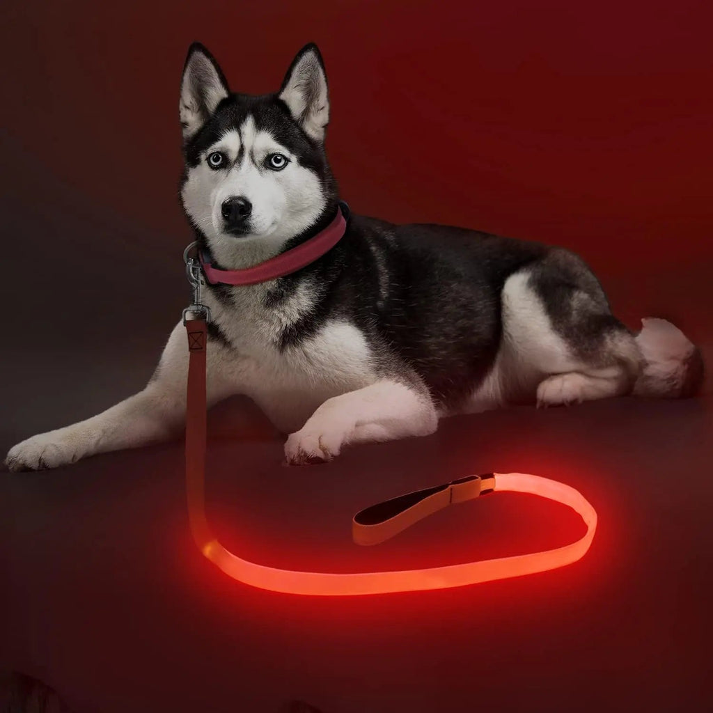 Light Up LED Dog Leash 6FT – USB Rechargeable Glow Leash for Night Safety