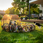 Outdoor Cat Enclosure with 134" Tunnel