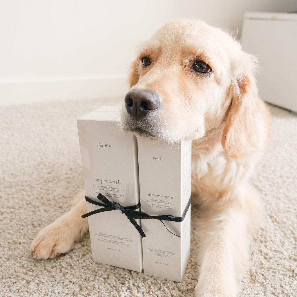 Fur Elise Le Pawsh Set