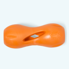Qwizl Chew Toy
