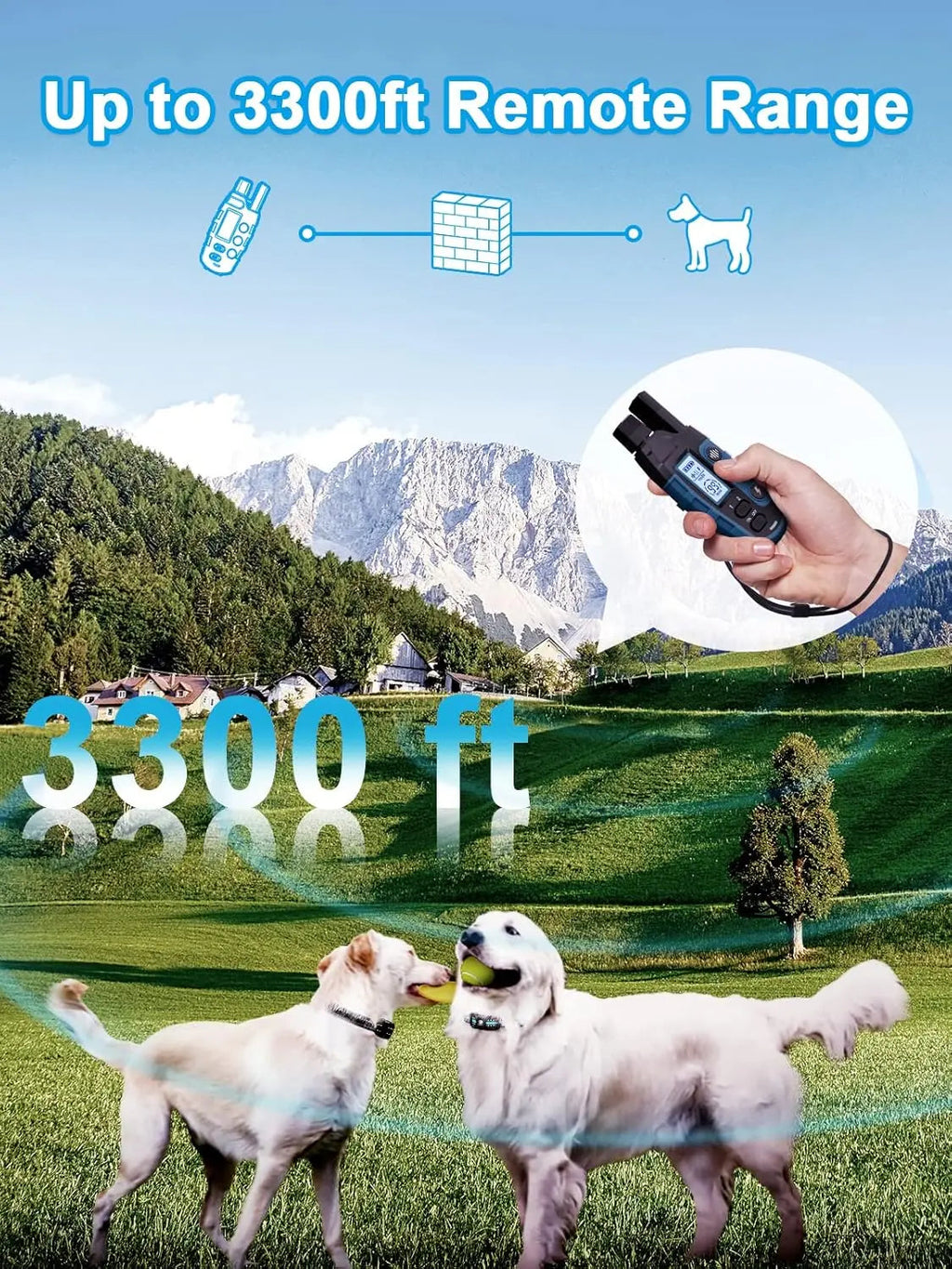 Remote Dog Training Collar for 2 Dogs