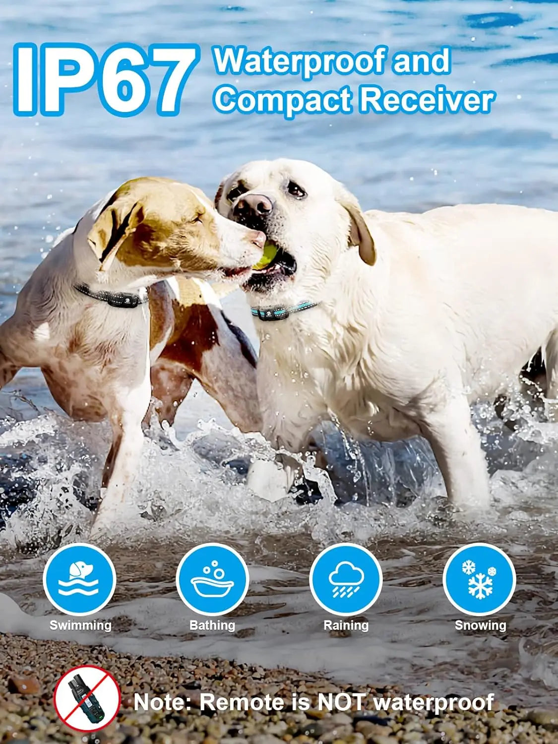 Remote Dog Training Collar for 2 Dogs