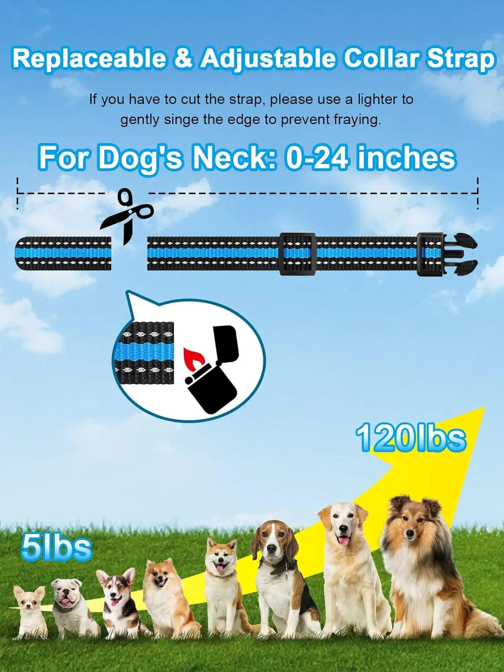 Remote Dog Training Collar for 2 Dogs