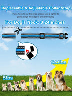 Remote Dog Training Collar for 2 Dogs