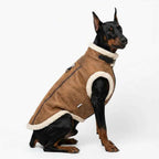 Retro Aviator Dog Jacket