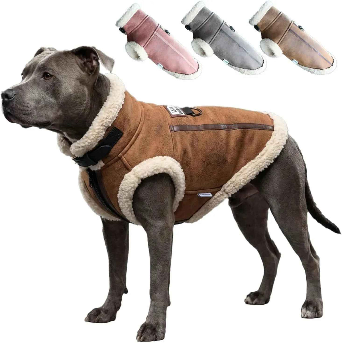 Retro Aviator Dog Jacket