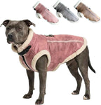Retro Aviator Dog Jacket