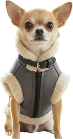 Retro Aviator Dog Jacket