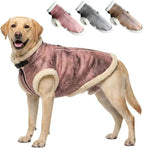 Retro Aviator Dog Jacket