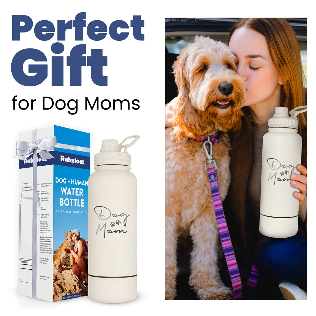 Dog/Human Water Bottle