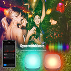 Wiscolor LED Light APP Control for Garden Lawn Courtyard