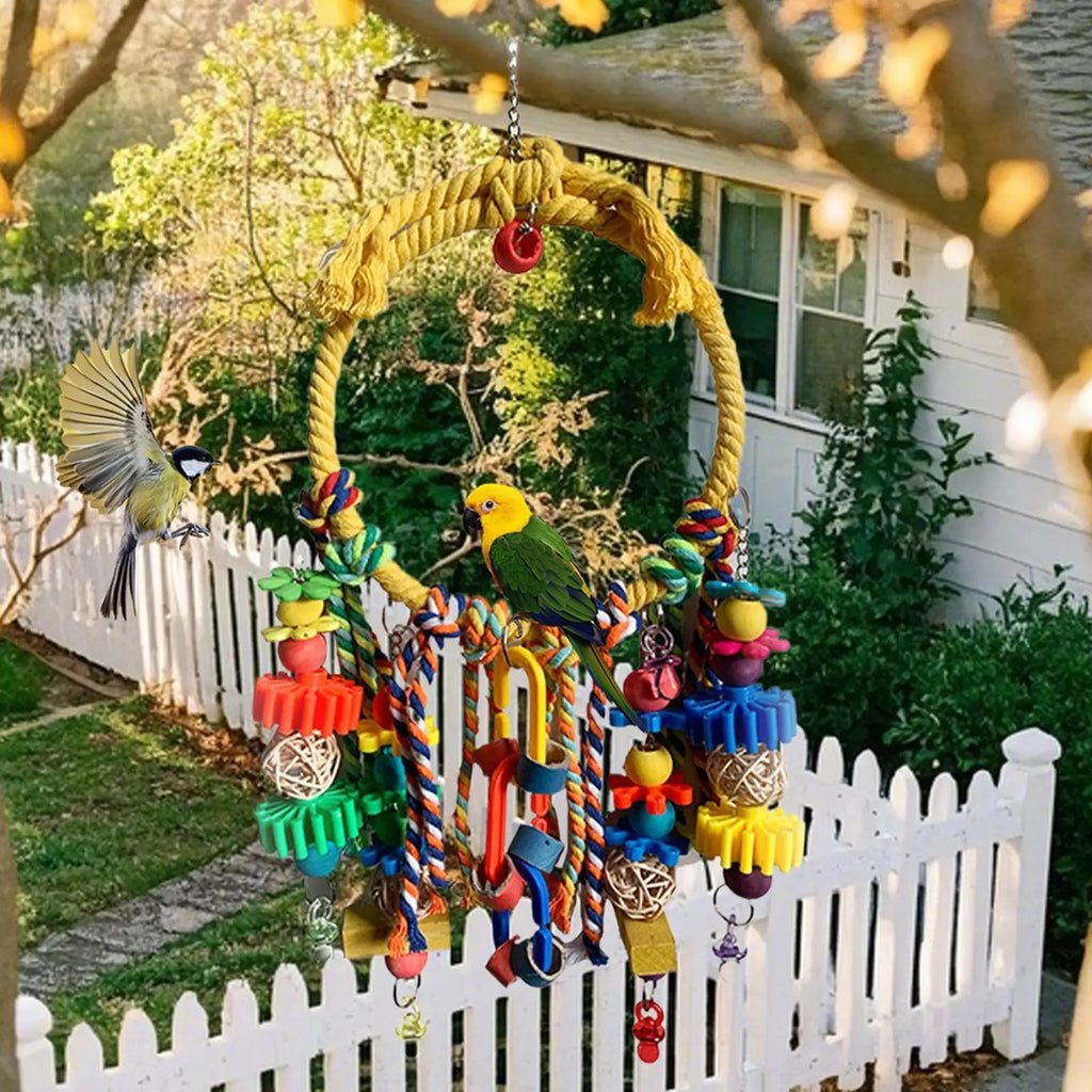 Bird Swing  Interactive Games For Climbing Chewing Exercise