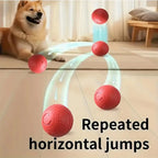 Smart Dog Toy Ball Interactive Pet