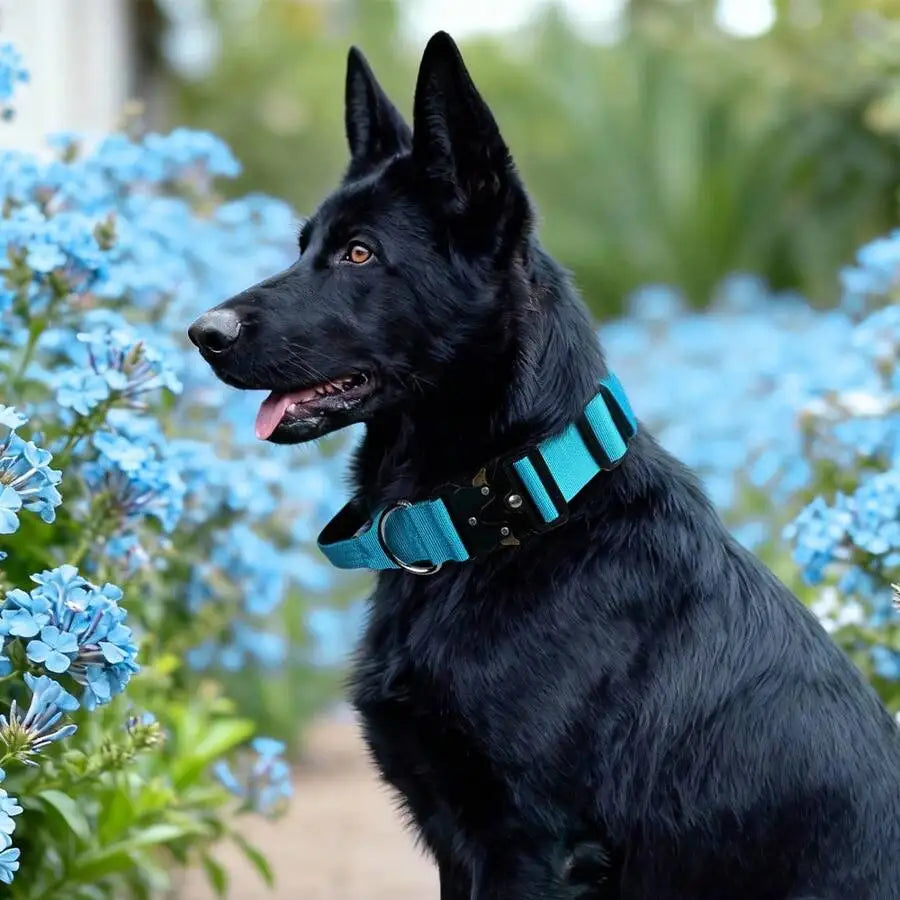 Adjustable Tactical Dog Collar with Handle