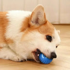 Interactive Dog Chew Toy Ball