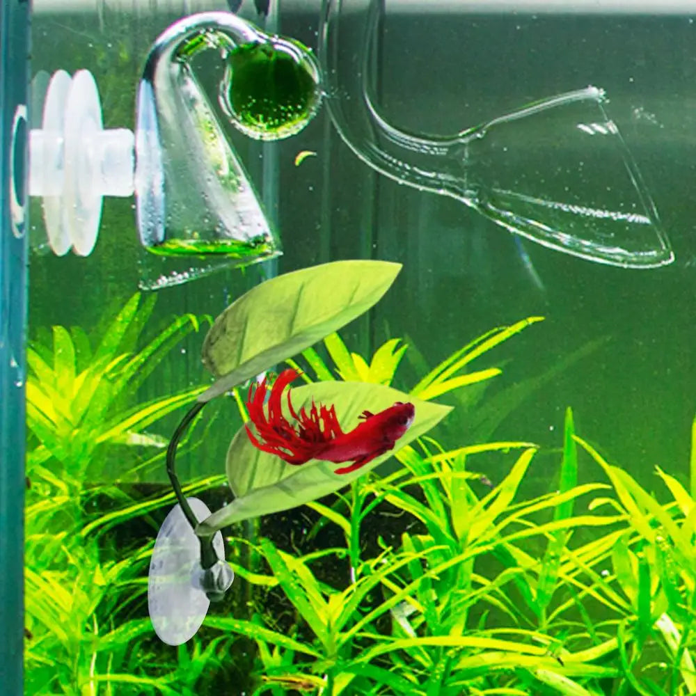 Betta Fish Leaf Pad Decoration For Aquarium