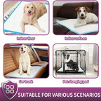 Premium Disposable Dog Training Pads