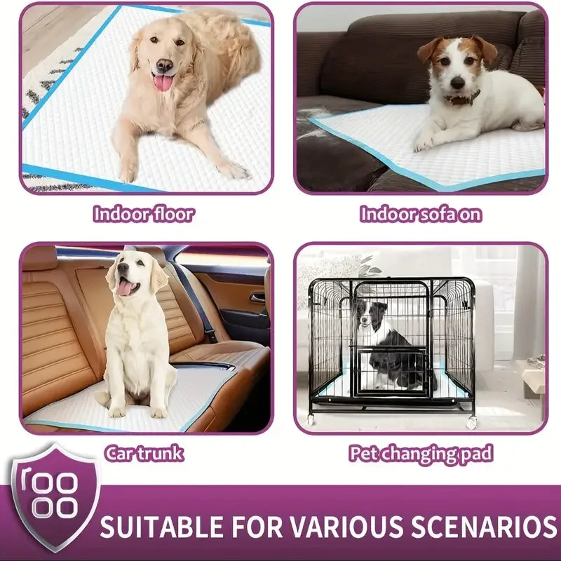 Premium Disposable Dog Training Pads