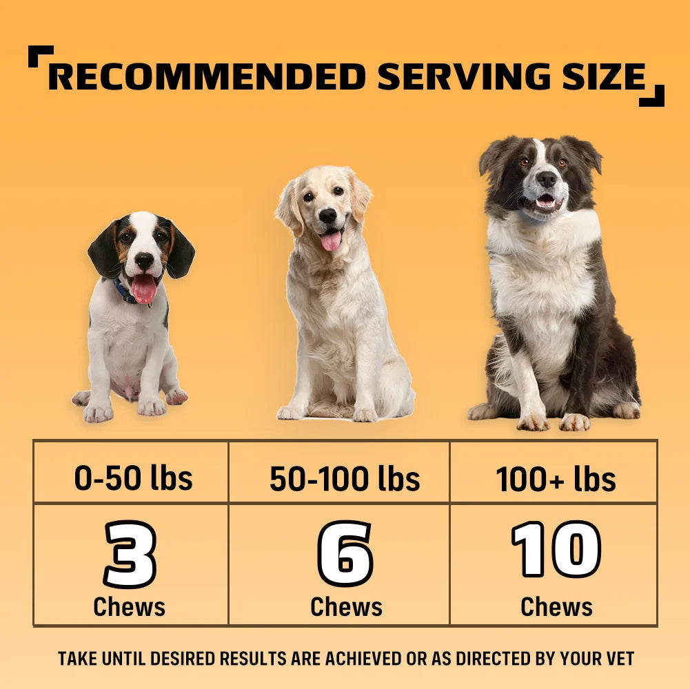 Dog Allergy Itch Relief Chews For Immune Health