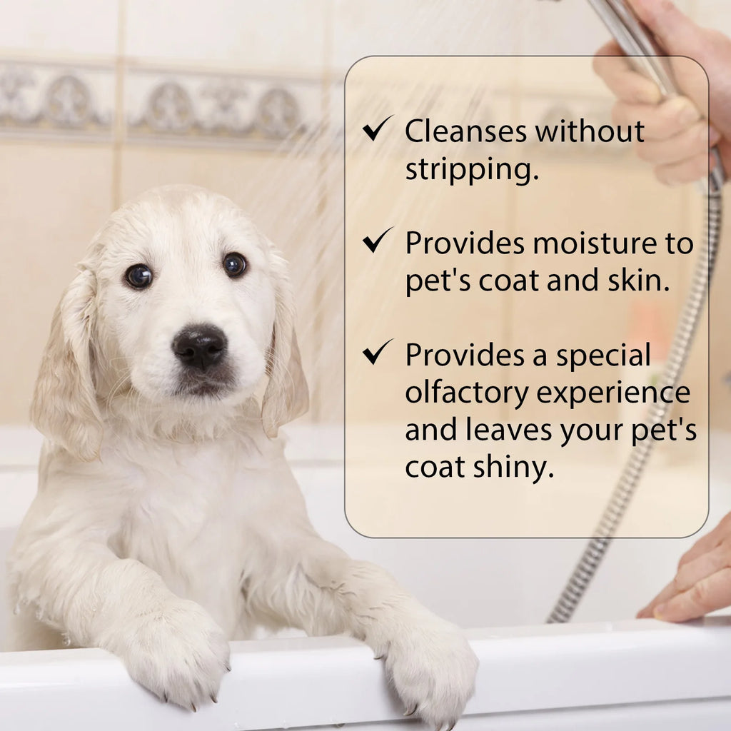 Dog Wash Shampoo: Flea & Mite Killer
