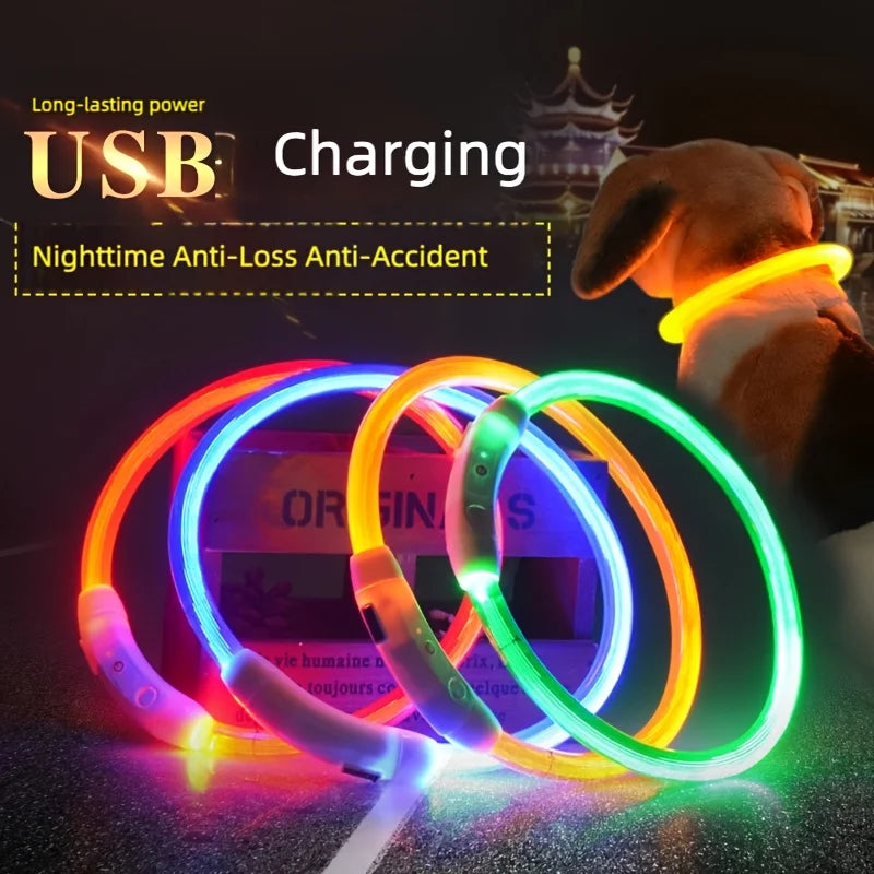 LED Glowing Dog Collar USB Rechargeable