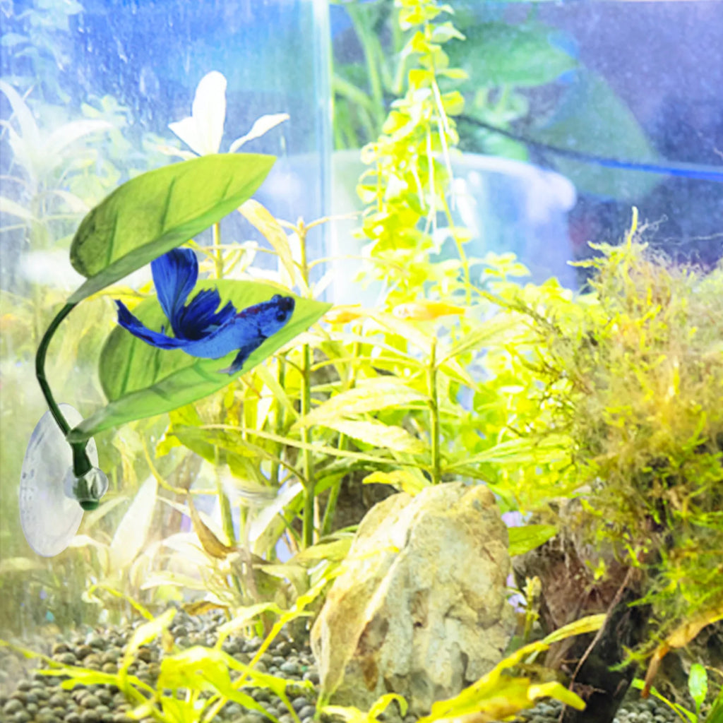 Betta Fish Leaf Pad Decoration For Aquarium