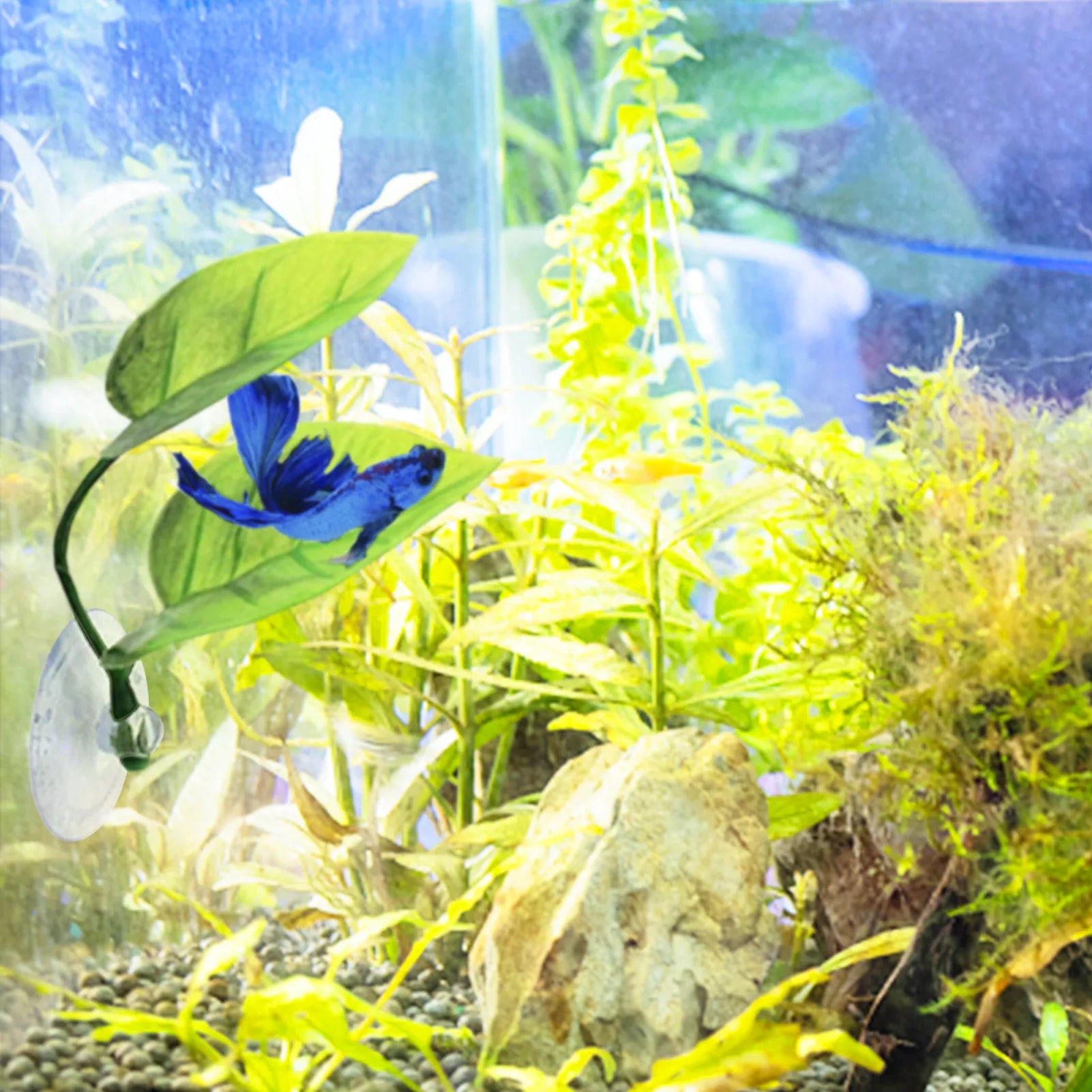 Betta Fish Leaf Pad Decoration For Aquarium