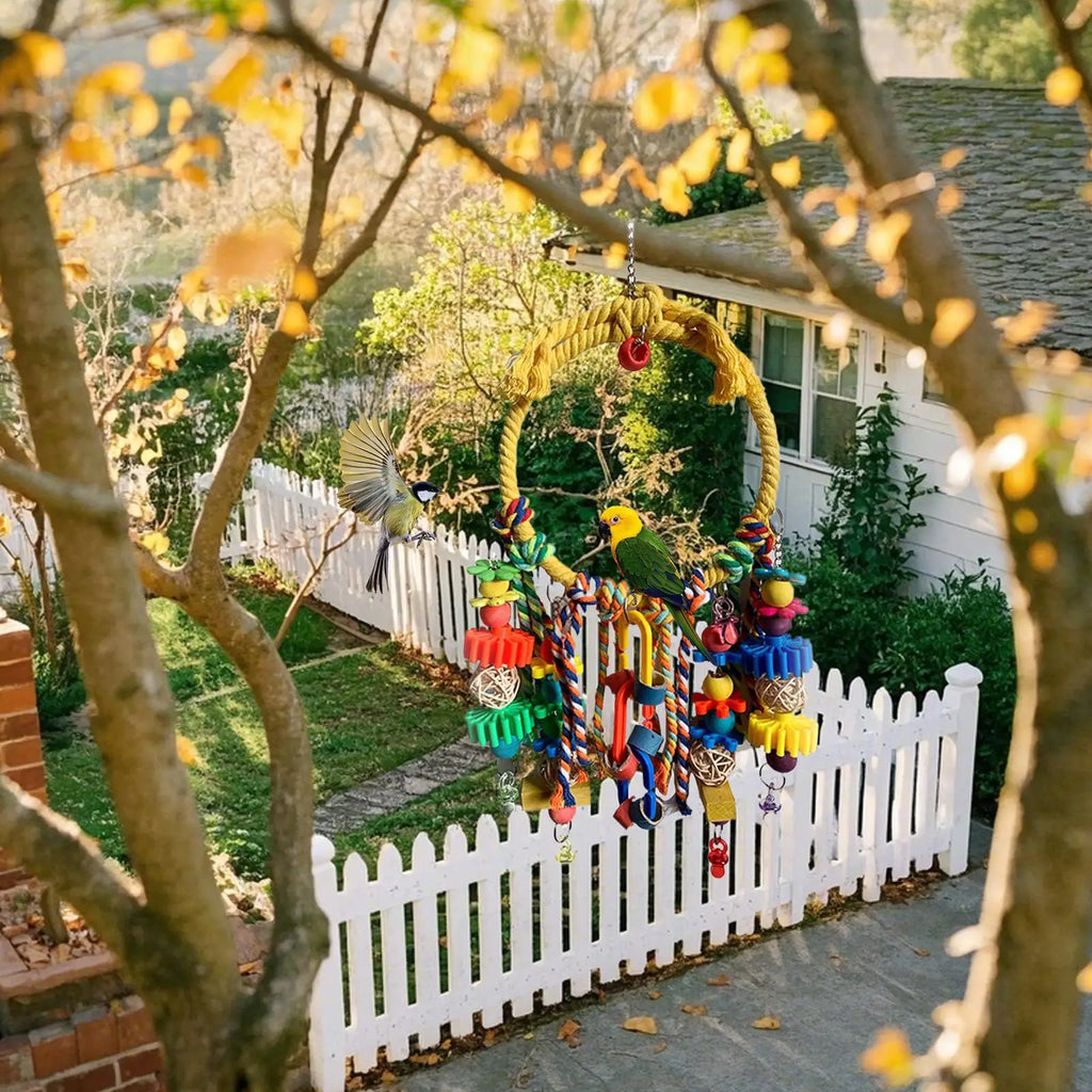 Bird Swing  Interactive Games For Climbing Chewing Exercise