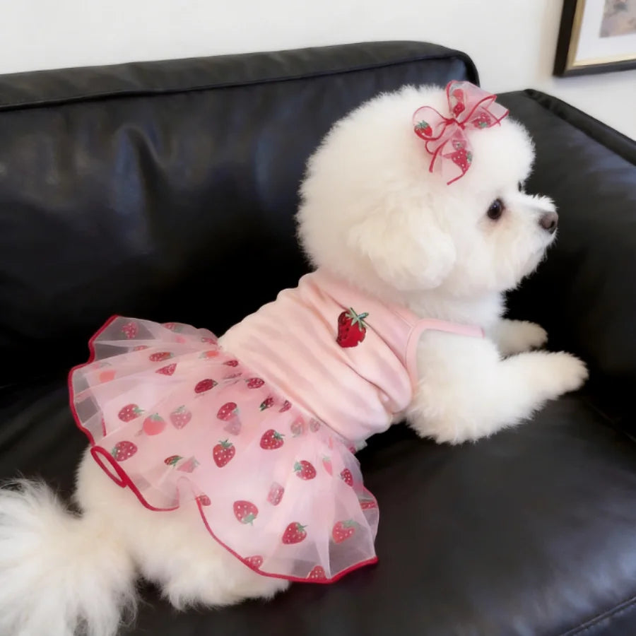 1PC Cute Pet Dog Dress for Small Dogs