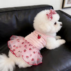 1PC Cute Pet Dog Dress for Small Dogs