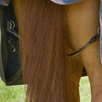 Horse Blanket Straps Adjustable Elastic Tail Strap