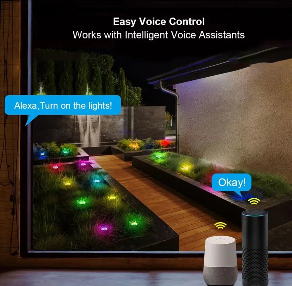 Wiscolor LED Light APP Control for Garden Lawn Courtyard