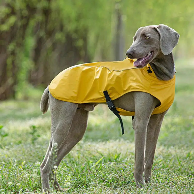 Lightweight Pet Rain Jacket  Hooded