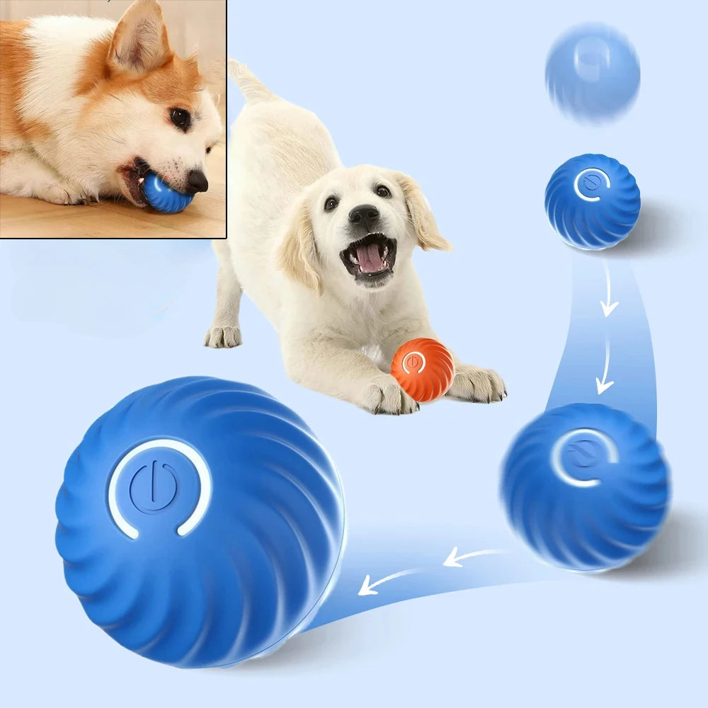 Interactive Dog Chew Toy Ball