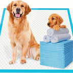 Premium Disposable Dog Training Pads