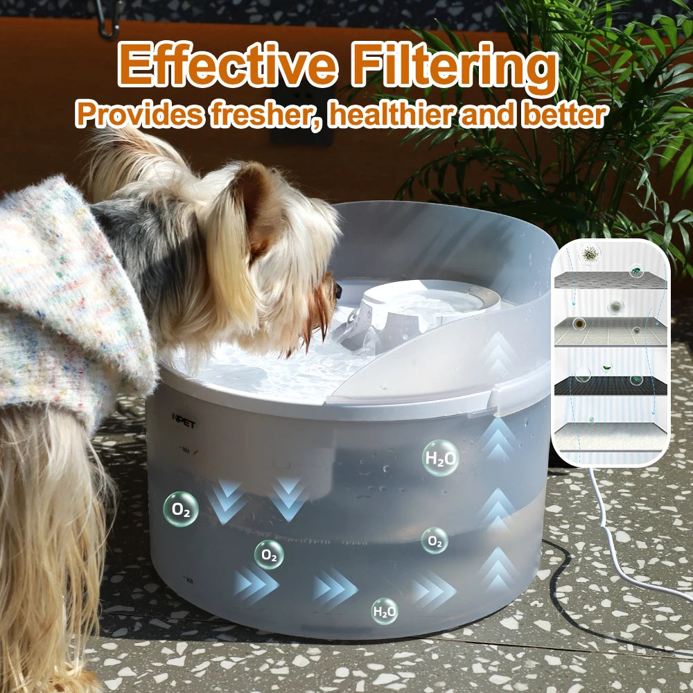 2 Gallon White Dog Water Fountain