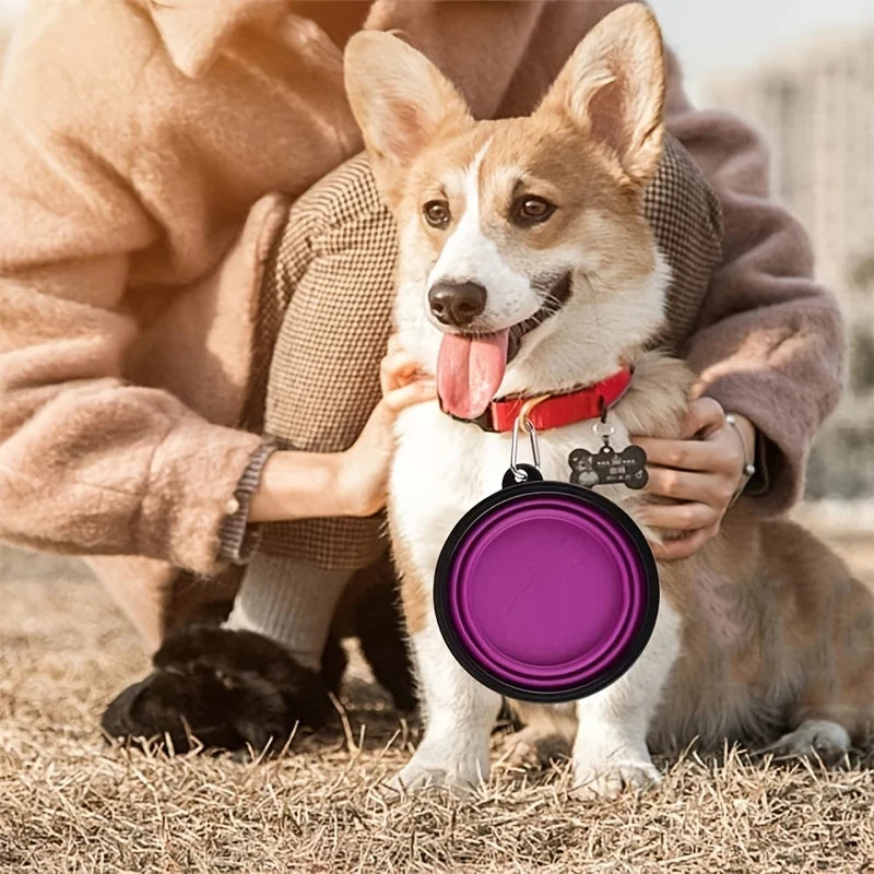 Portable Pet Food  Water Bowl  Collapsible