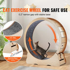 Wooden Cat Exercise Wheel with Detachable Carpet & Cat Teaser