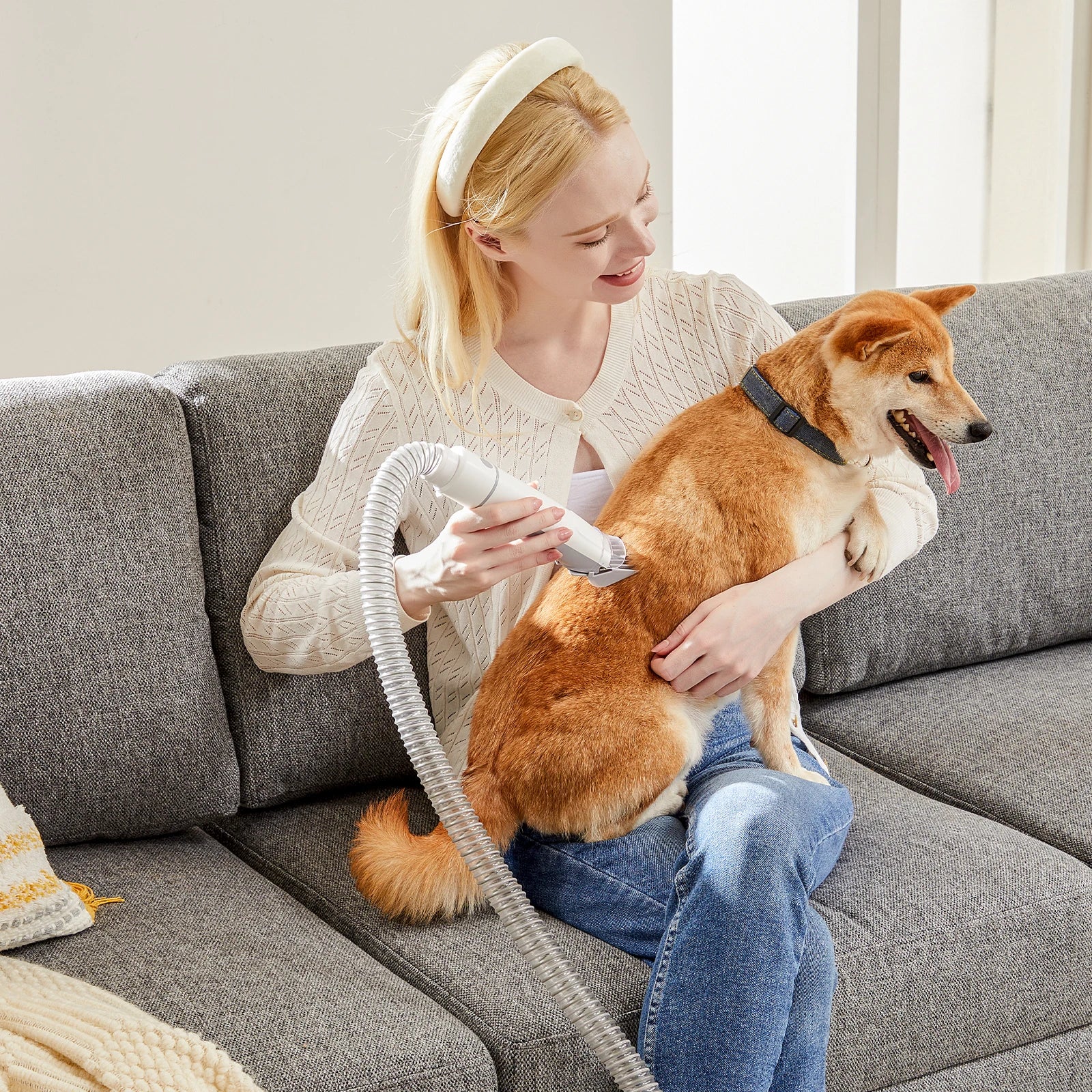 2.5L Professional Pet Grooming Vacuum Kit