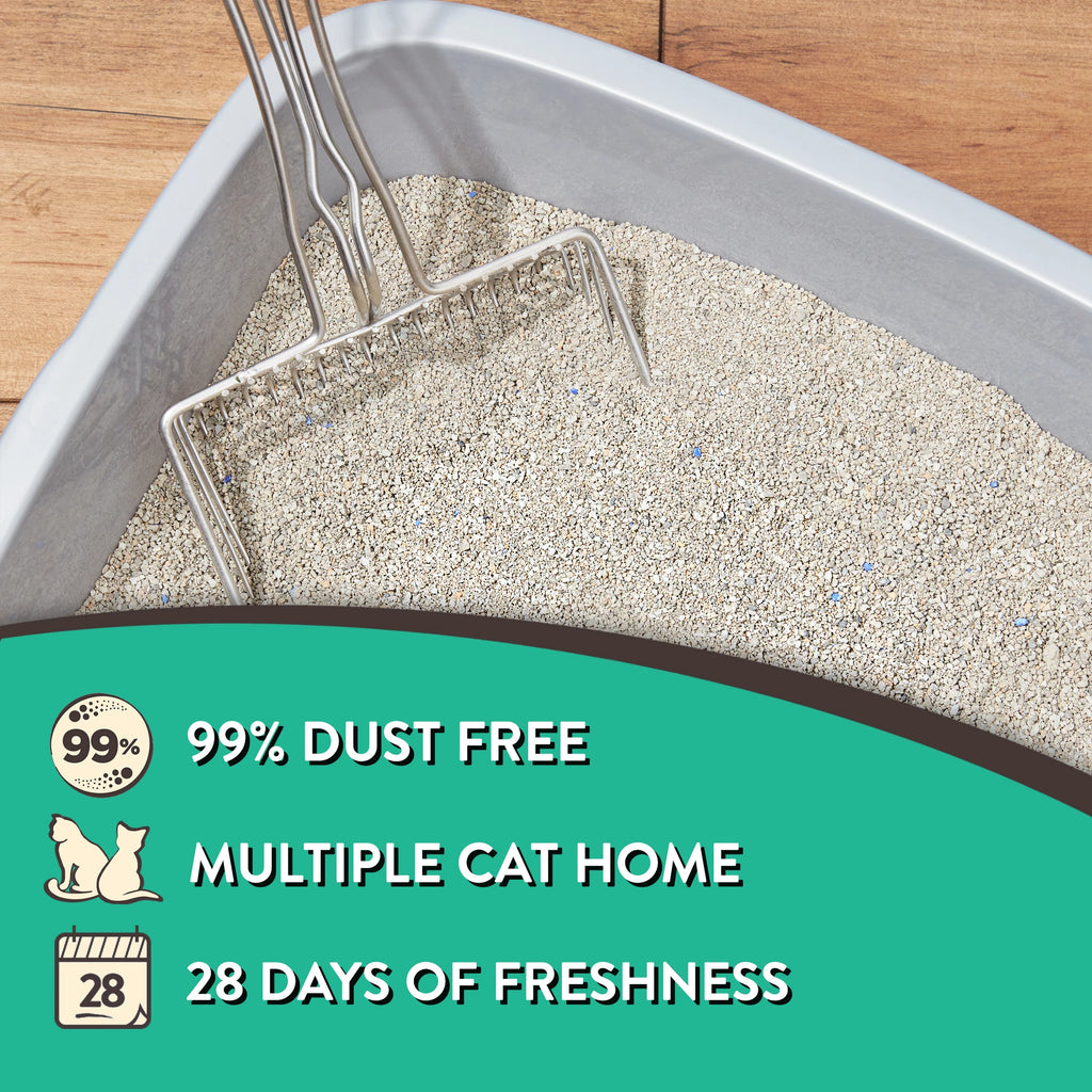 4 pack Clumping Clay Cat Litter