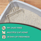 4 pack Clumping Clay Cat Litter