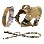Large/Med Dog Harness And Leash Set
