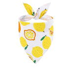 Pets Bandana Washable Adjustable