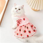 1PC Cute Pet Dog Dress for Small Dogs