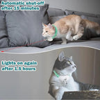 Laser Light Cat Collar Interactive Toy