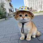 Summer Cat Dog Sunscreen Hat