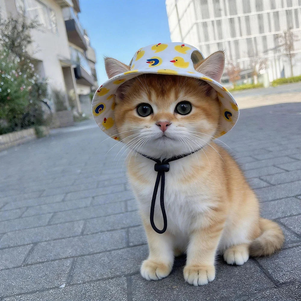 Summer Cat Dog Sunscreen Hat
